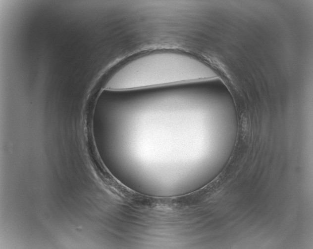 X0000070360684200606121210