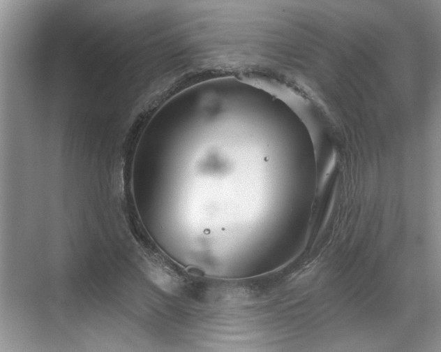 X0000070360685200606121210