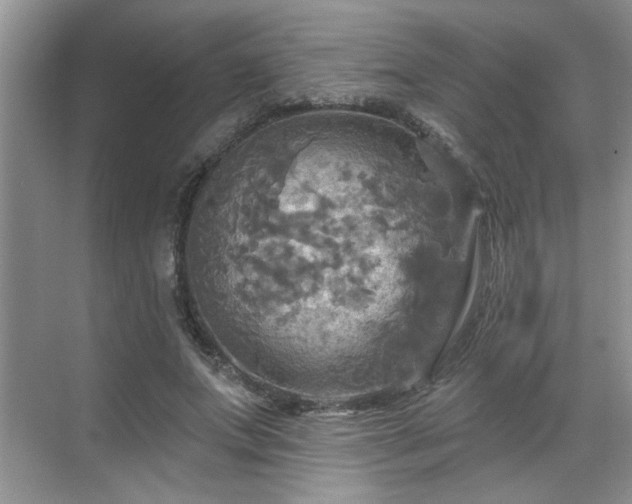 X0000070360687200606121210