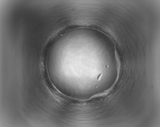 X0000070360688200606121210