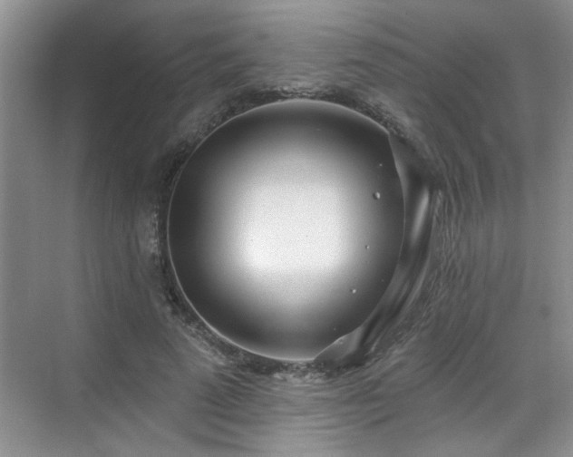 X0000070360689200606121209