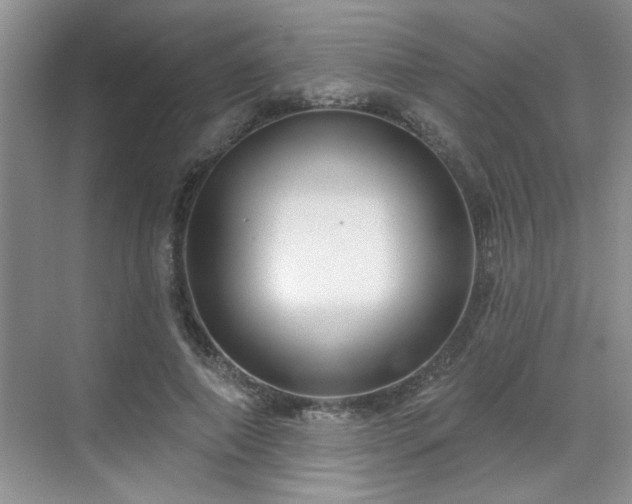 X0000070360690200606121209