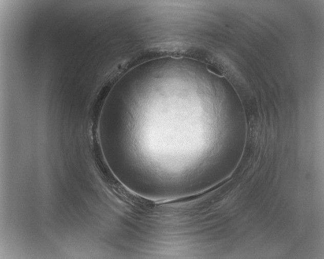 X0000070360692200606121209