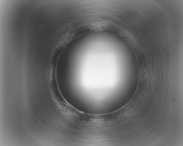 X0000070360694200606121209