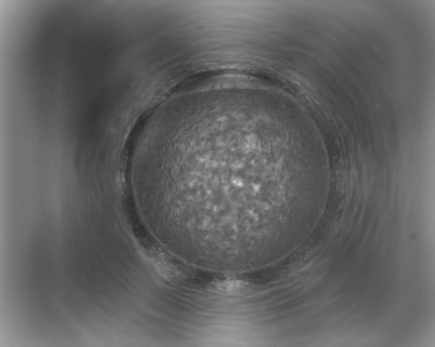 X0000070360695200606121209