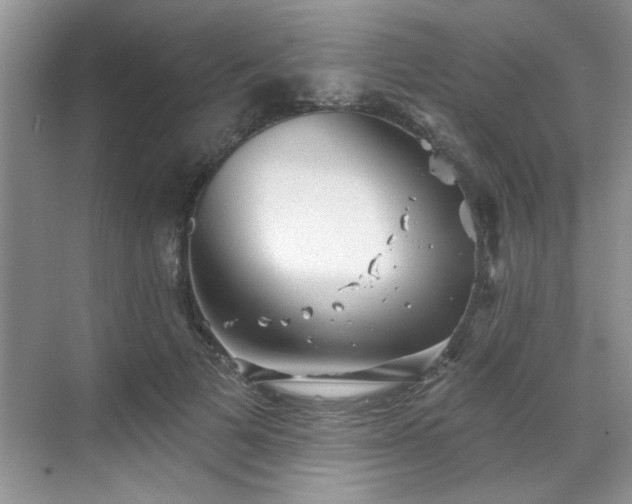 X0000070360697200606121209