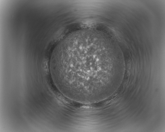 X0000070360699200606121209