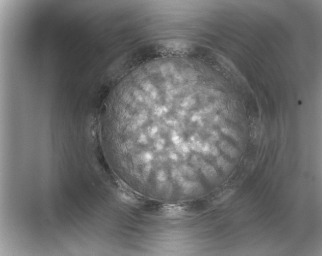 X0000070360701200606121209