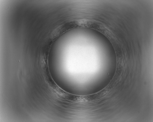 X0000070360702200606121209