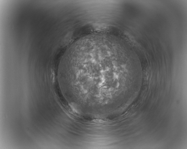 X0000070360703200606121209