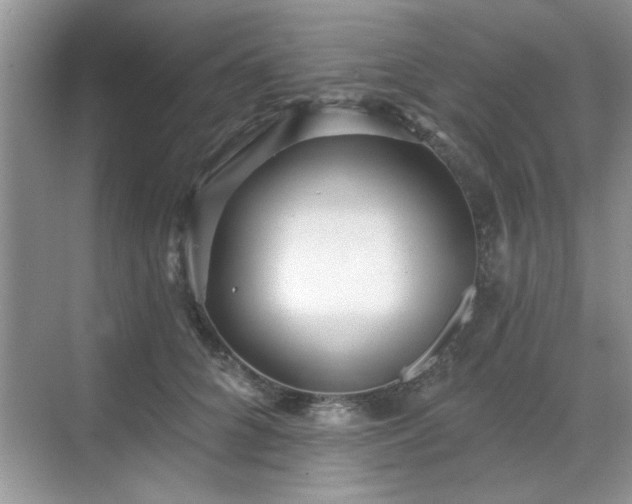 X0000070360704200606121209