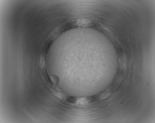 X0000070360705200606121209