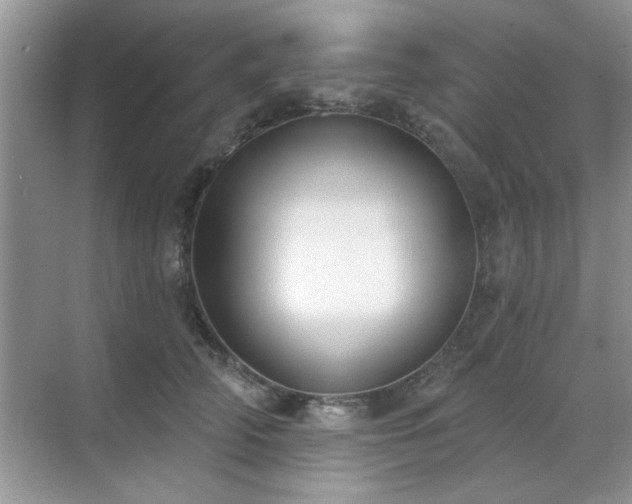 X0000070360706200606121209