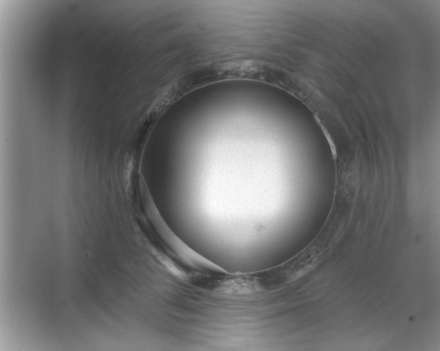 X0000070360708200606121209