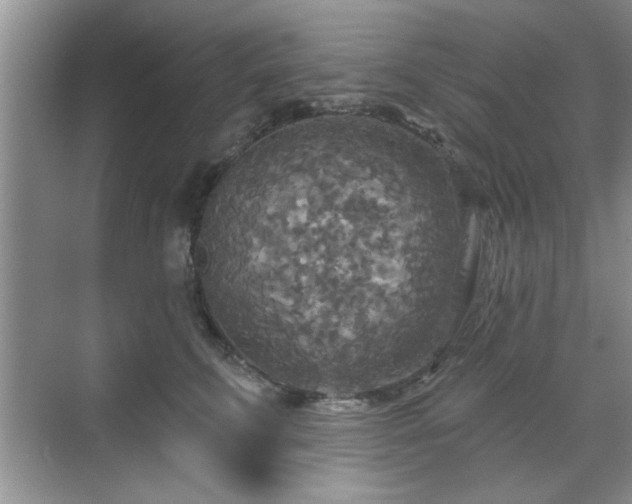 X0000070360711200606121209