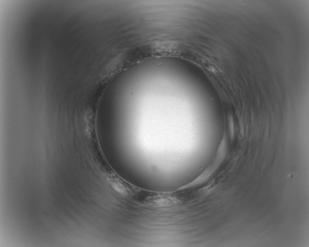 X0000070360712200606121209