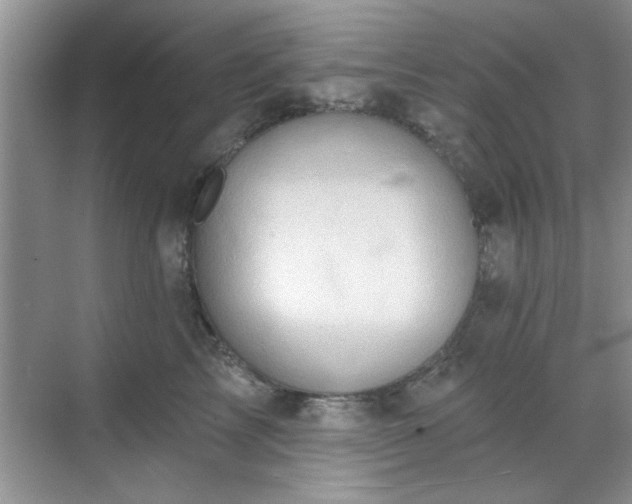 X0000070360713200606121209