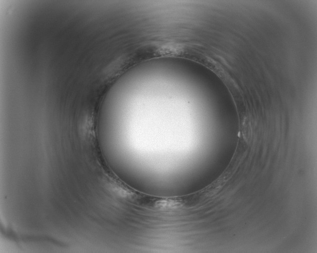 X0000070360714200606121209