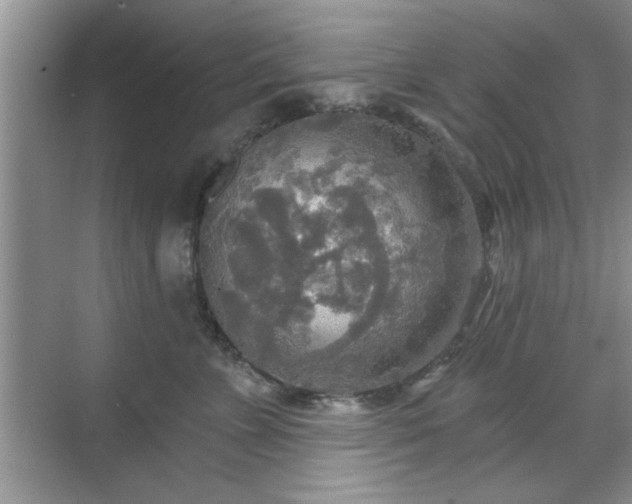 X0000070360715200606121209