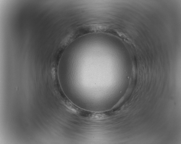 X0000070360716200606121209