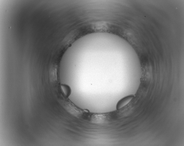 X0000070360717200606121209