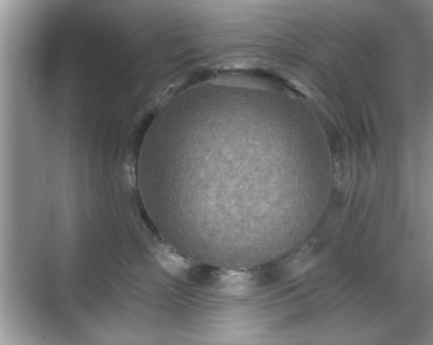 X0000070360718200606121209