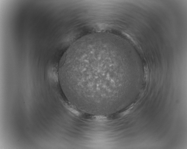 X0000070360719200606121209