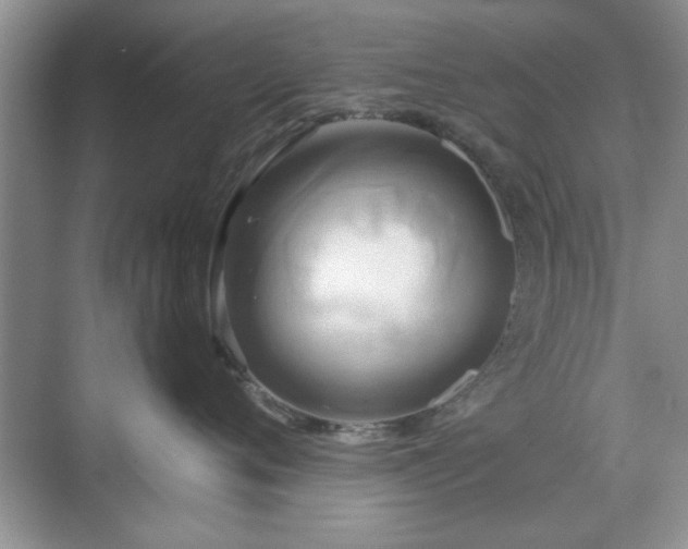 X0000070360720200606121209