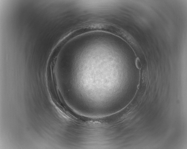 X0000070360722200606121208