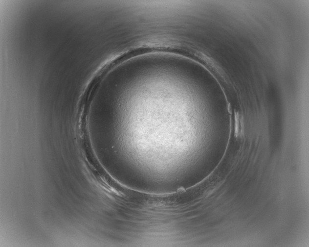 X0000070360723200606121208