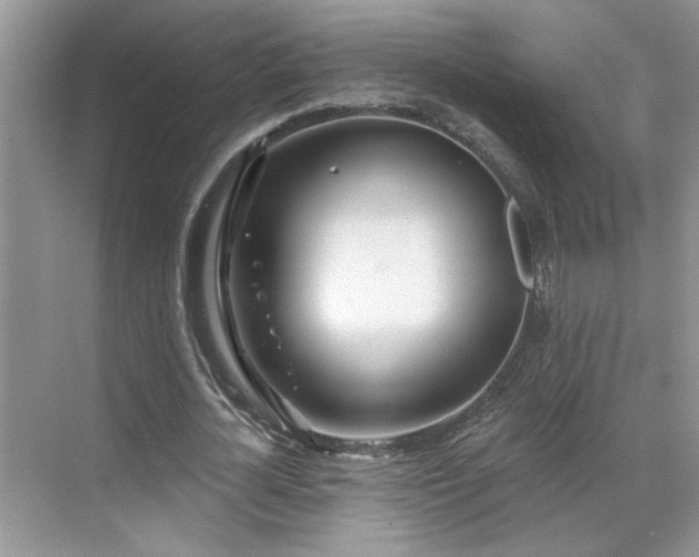 X0000070360724200606121208