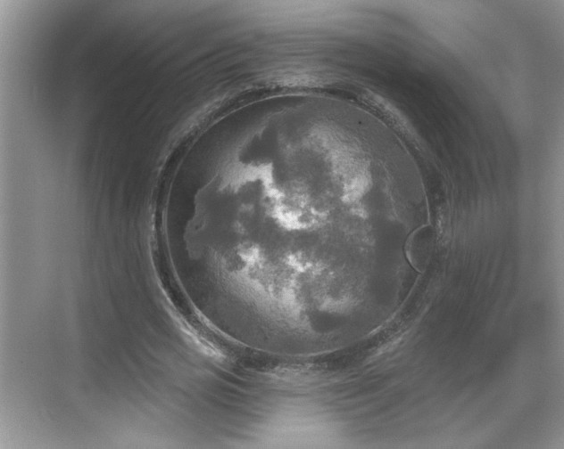 X0000070360725200606121208