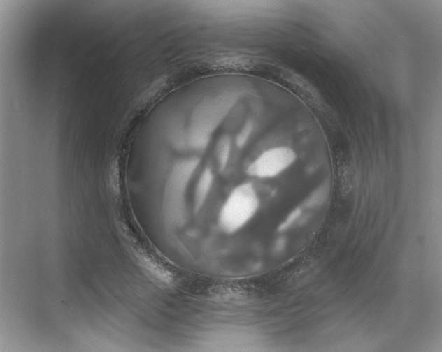 X0000070360729200606121208