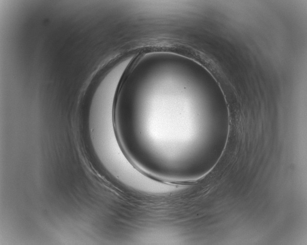 X0000070360731200606121208