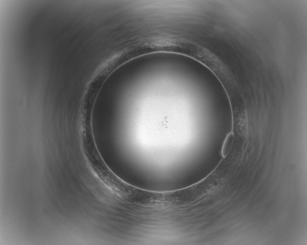 X0000070360732200606121208