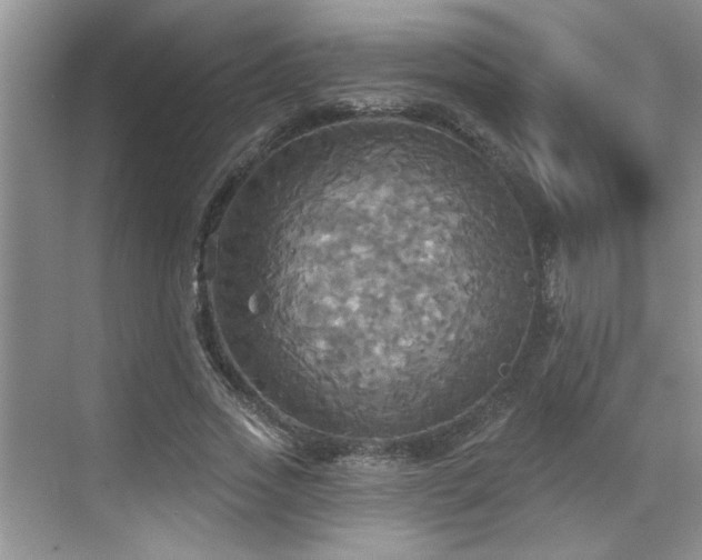 X0000070360733200606121208