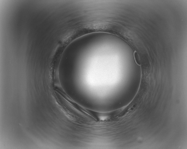 X0000070360735200606121208