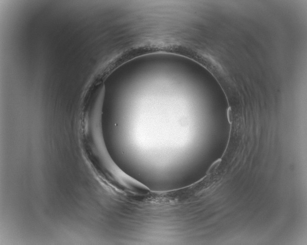 X0000070360736200606121208