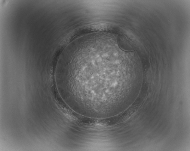 X0000070360737200606121208