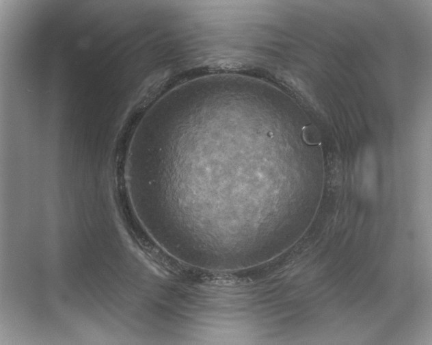 X0000070360738200606121208