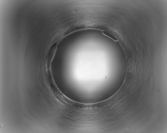 X0000070360740200606121208