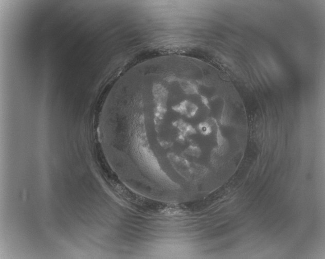 X0000070360742200606121209