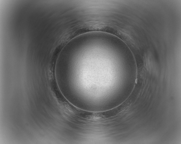 X0000070360743200606121209