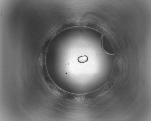 X0000070360744200606121209