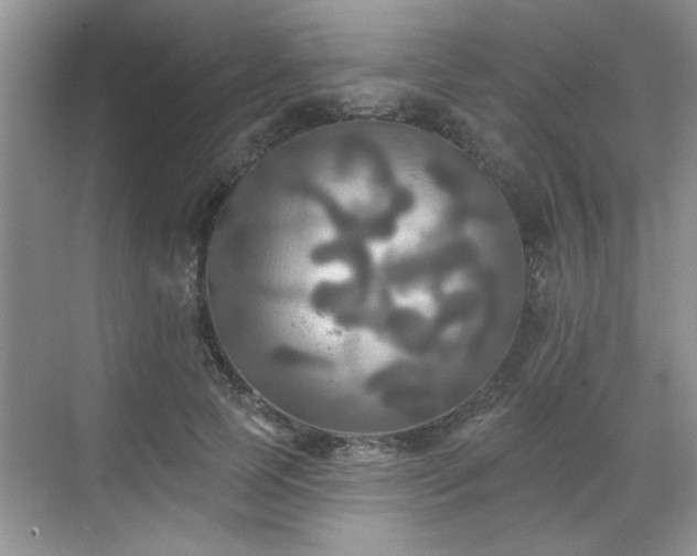 X0000070360745200606121209