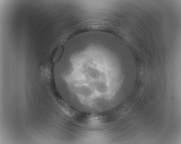 X0000070360746200606121209