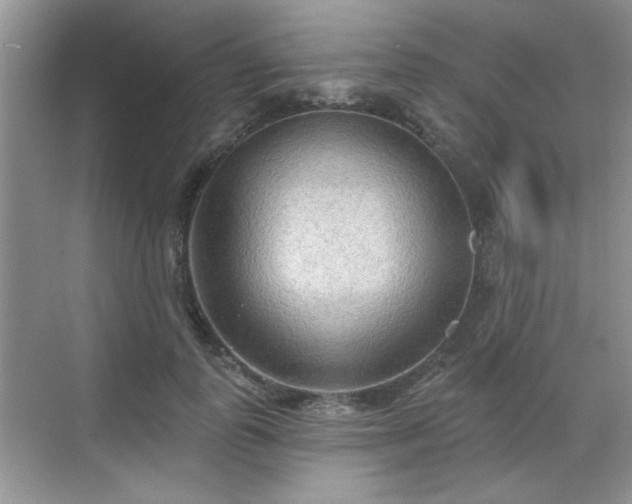 X0000070360747200606121209