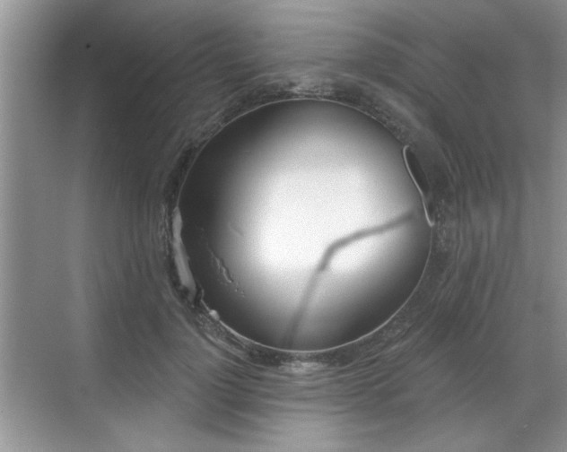 X0000070360748200606121209