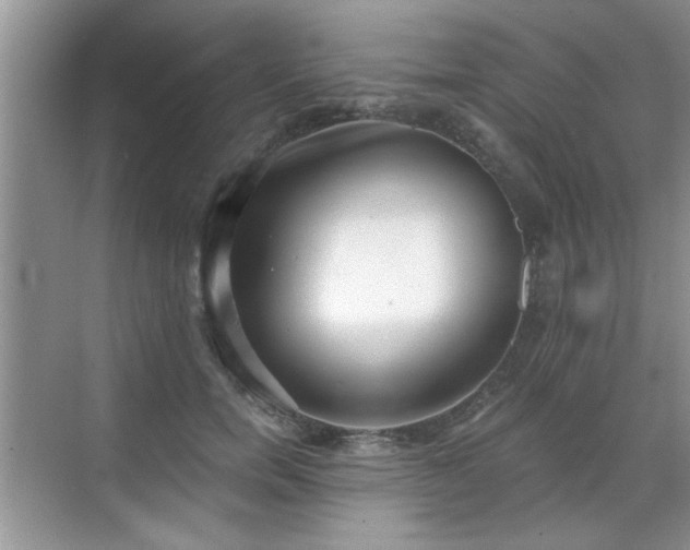 X0000070360750200606121209