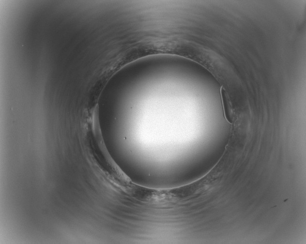 X0000070360752200606121209